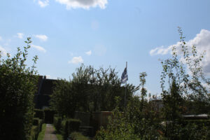 image 115
