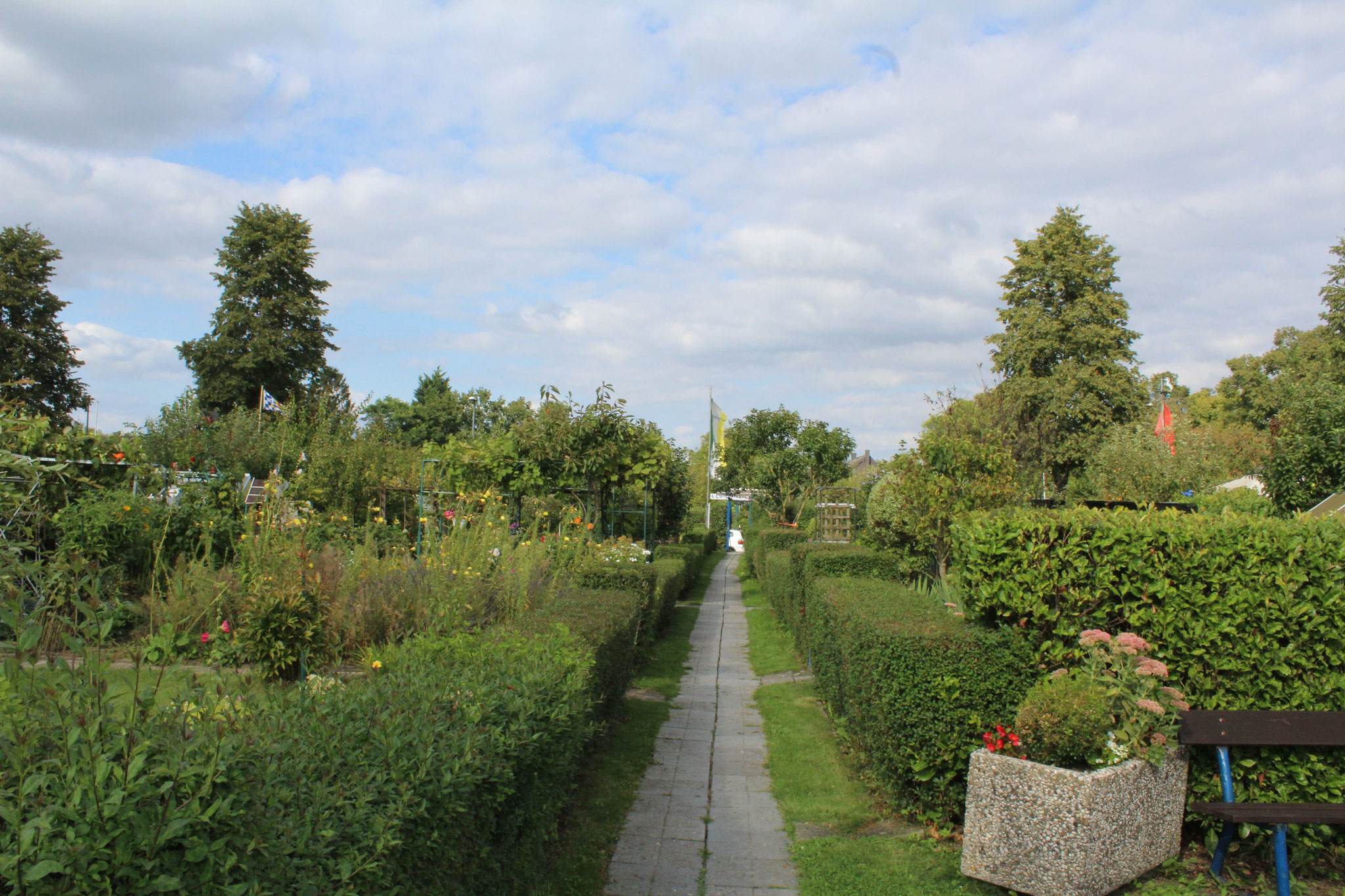 image 117