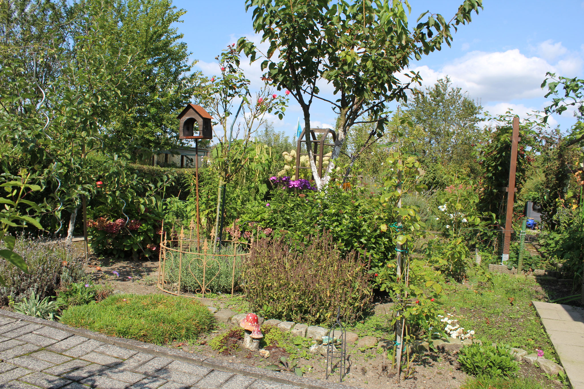 image 119