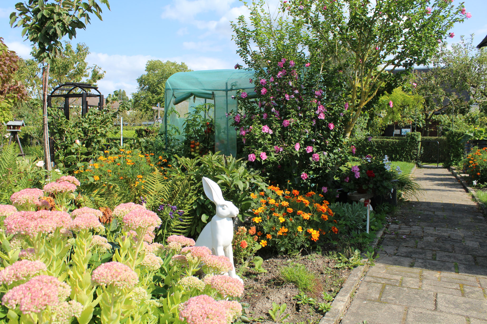 image 123