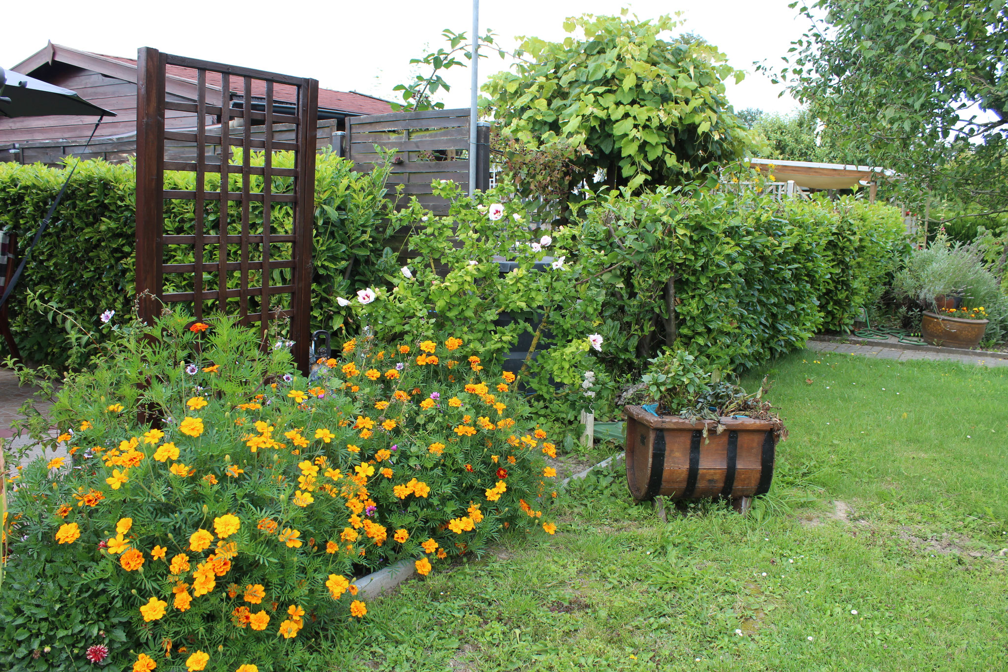 image 127