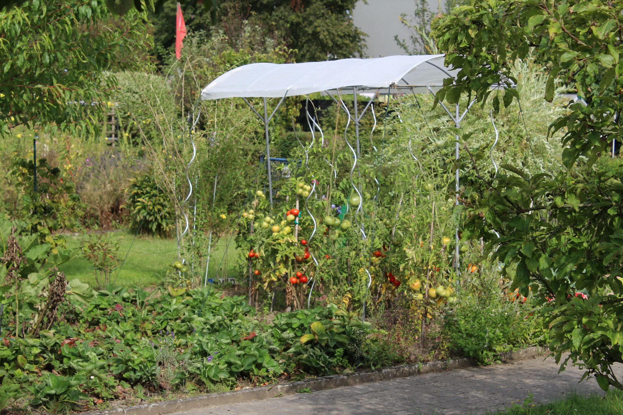 image 128