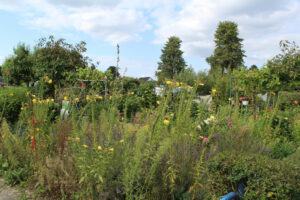 image 132