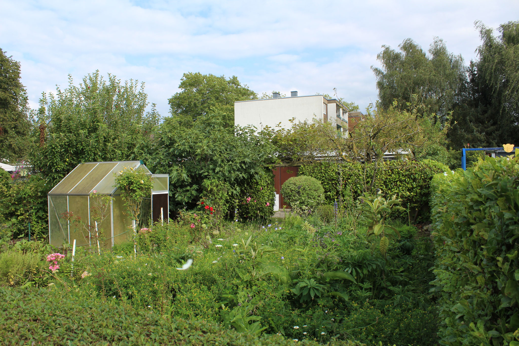 image 135