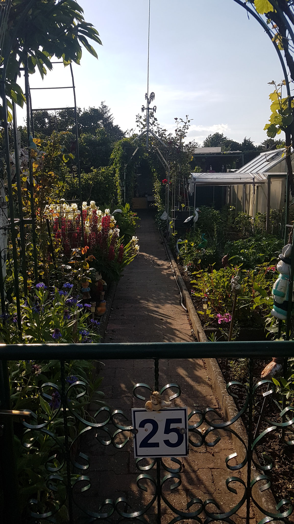 image 63