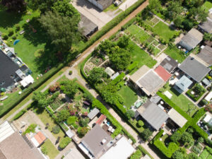 image 80
