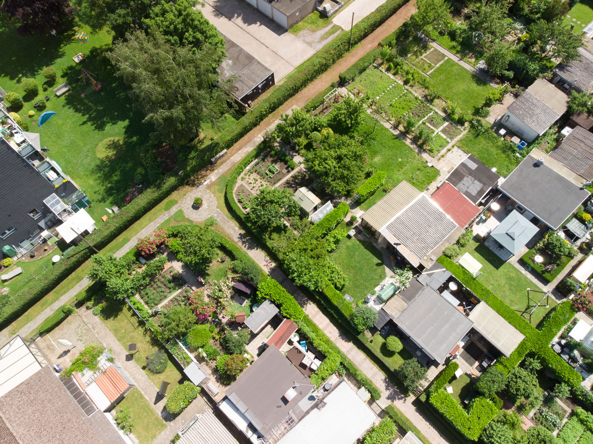 image 80