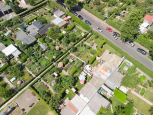 image 84