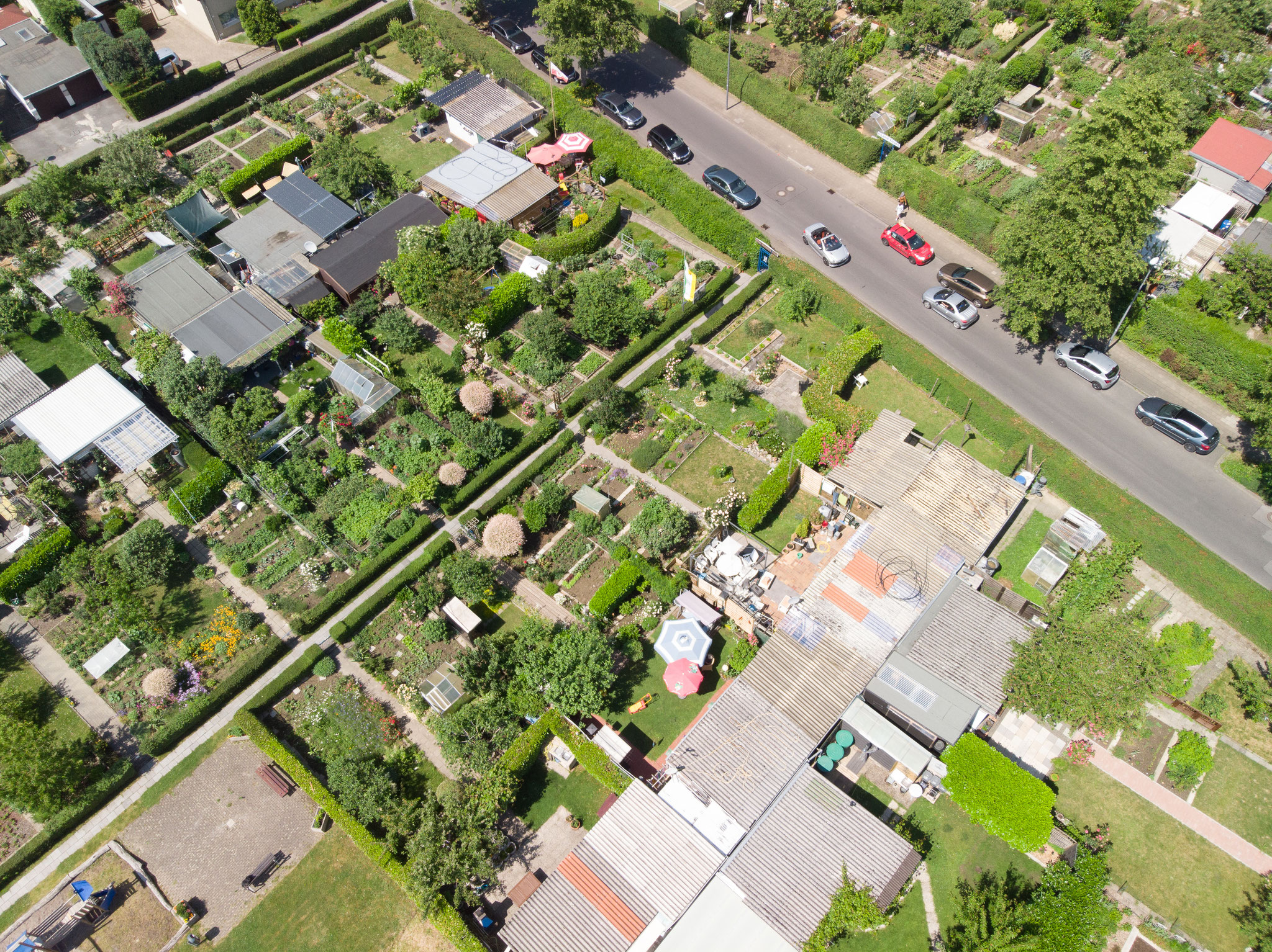 image 84