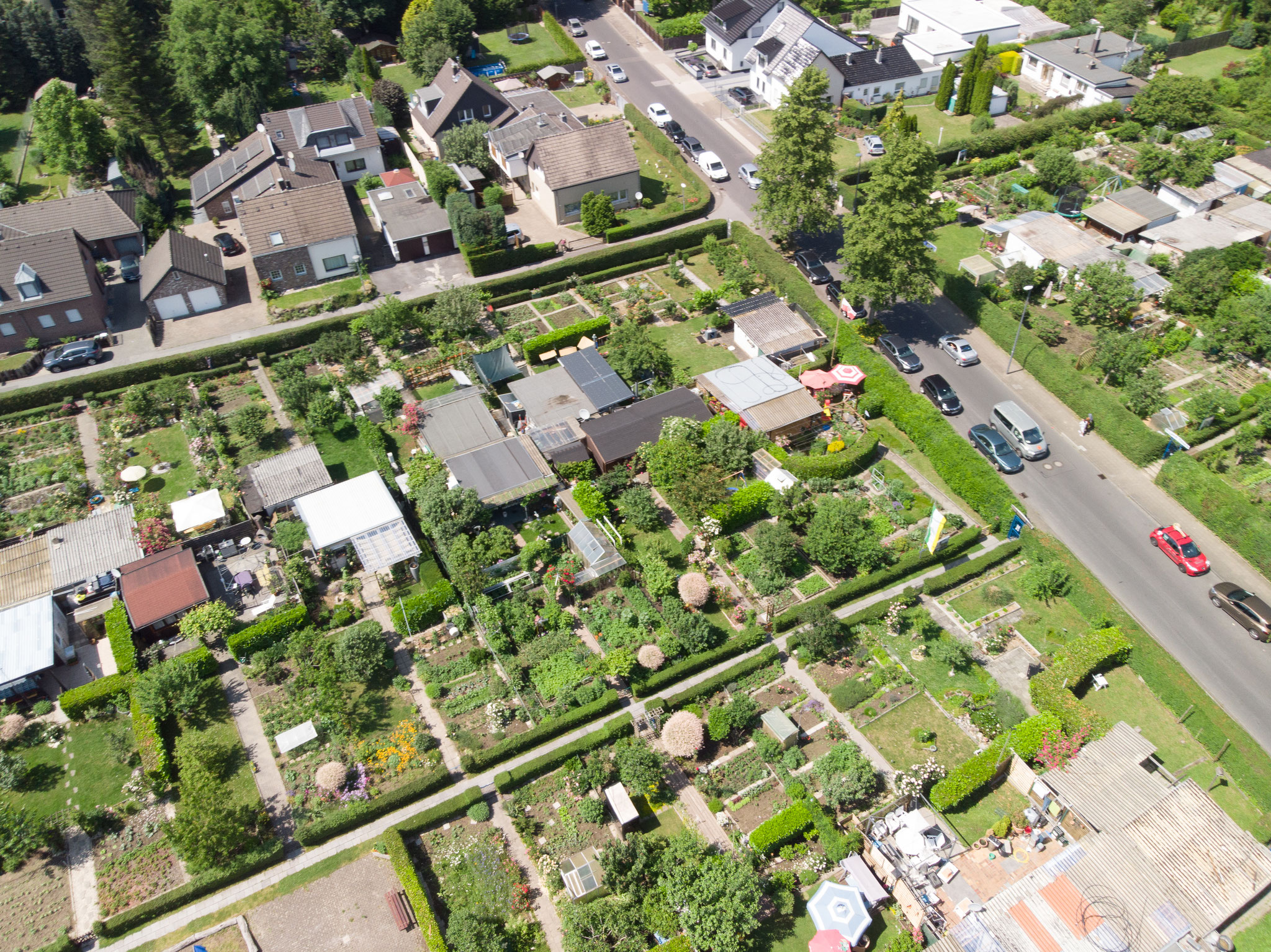 image 87