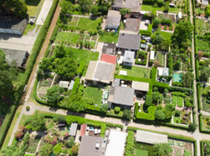 image 98